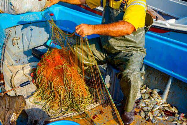 istock Fisherman empties fish from net in his small boat 1276790892