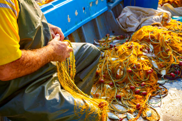 istock Fisherman empties fish from net in his small boat 1276790905