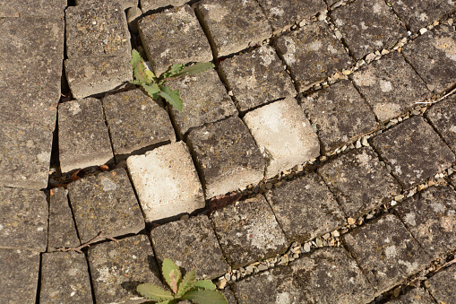 part of cobblestone path with loosened stones