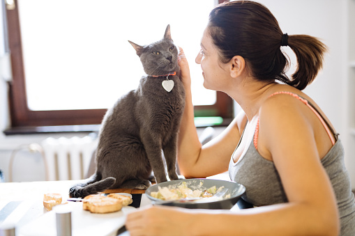 Caucasian woman eating lunch and cuddling cat