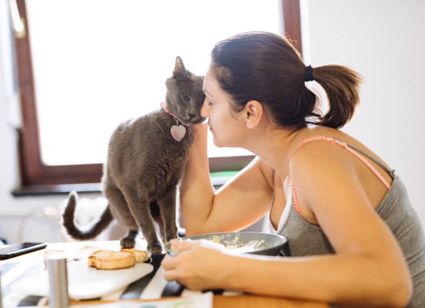 istock Woman cuddling cat in kitchen while eating lunch 1276793417