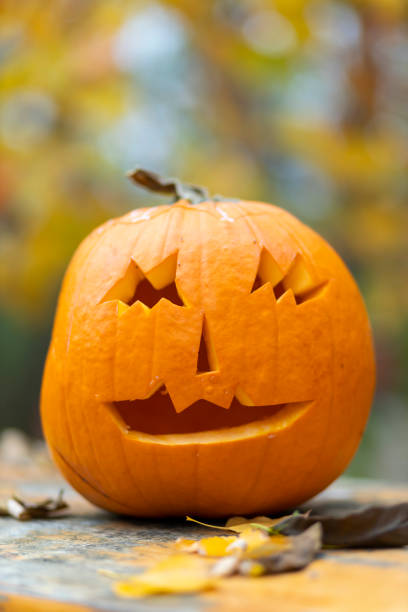 istock halloween pumpkin, autumn still life 1276794041