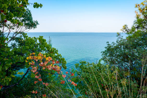istock View on the bay trough green vegetation 1276795984