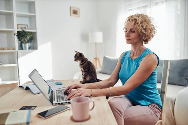 istock Woman working from home on a laptop / notebook with cat pet with her. 1276797339