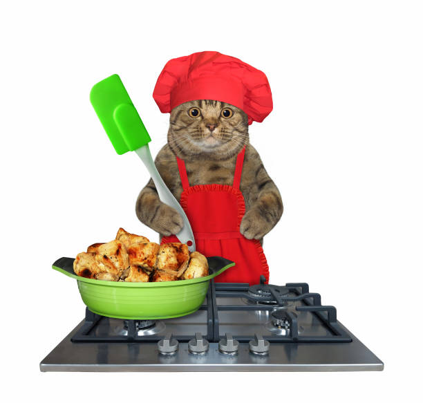 istock Cat cooking fried meat on gas stove 1276798621