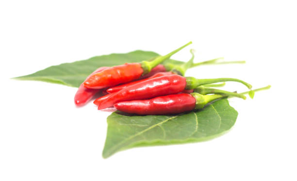 istock chili pepper isolated on a white background 1276799361
