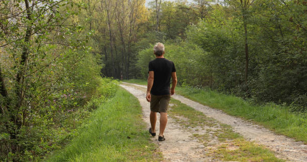 istock Male hiker walks along forested trail at sunrise 1276803591