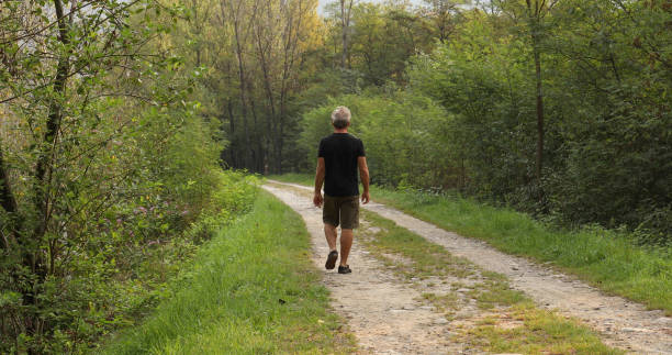 istock Male hiker walk along forested trail at sunrise 1276803689
