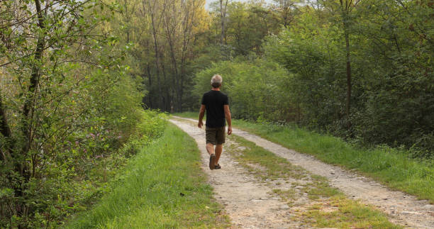 istock Male hiker walks along forested trail at sunrise 1276803709
