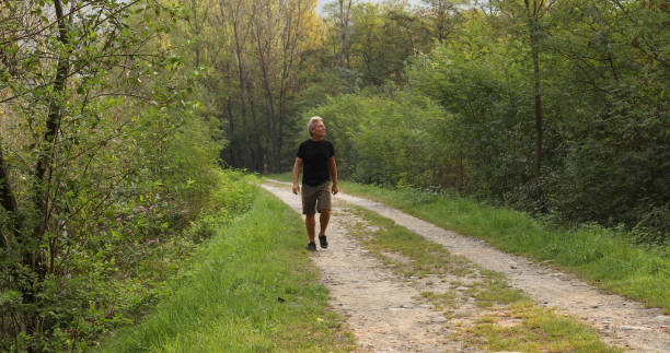 istock Male hiker walks along forested trail at sunrise 1276803720