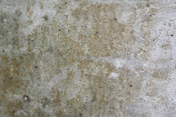 istock Closeup Texture of concrete, cement, Gray wall. 1276803757