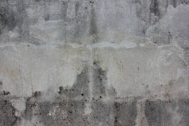 istock Closeup Texture of concrete, cement, Gray wall. 1276803890
