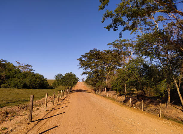 istock A walk on the quiet and beautiful road 1276805131