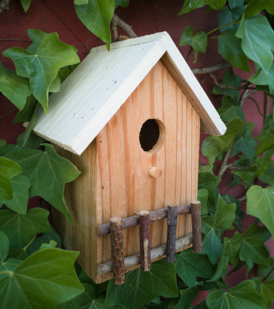 istock Wooden birdhouse surrounded by leaves 1276809741