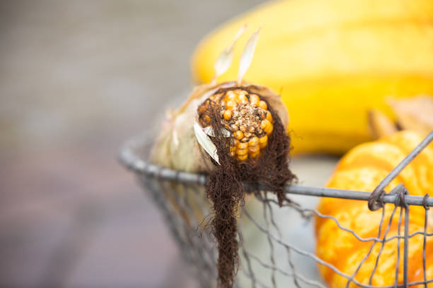 basket with corn
