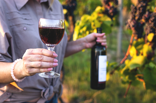 Woman drinking red wine at vineyard. Female farmer holding wineglass and bottle and tasting her homemade wine