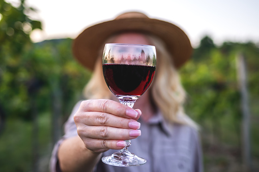 Celebratory toast of red wine at vineyard. Woman holding wineglass outdoors. Front view and selective focus