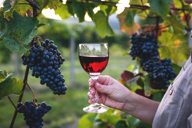 istock Woman holding wineglass with red wine 1276813254