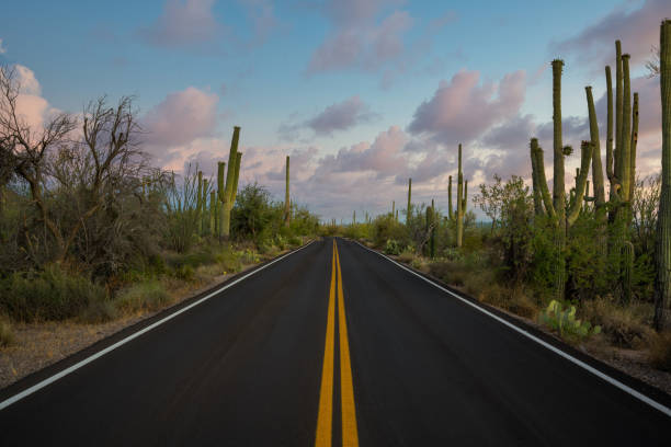 istock Road driving through Mountain Park in Tucson Arizona 1276813276