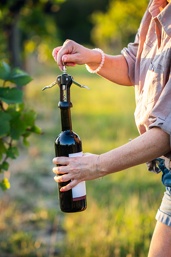 Woman opening red wine bottle by corkscrew at vineyard. Pulling wine cork from bottle outdoors. Selective focus