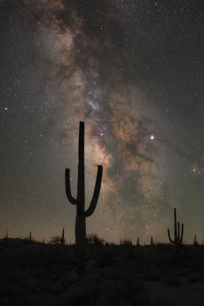 istock Milky Way Galaxy rising behind a saguaro cactus silhouette 1276813353