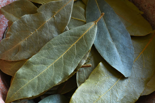 istock Dried Bay Leaves Close Up 1276814385