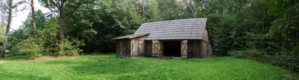 viejo granero en el bosque. paisaje rural con antigua casa de madera gris. - shed cottage hut barn fotografías e imágenes de stock