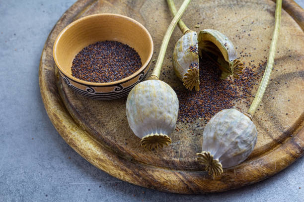 istock Poppy seed plant on kitchen desk and circle breadboard with bowl 1276815675