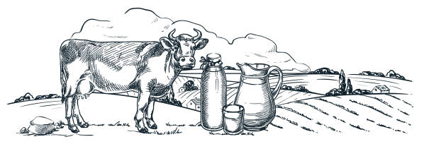 farma mleka, produkty mleczne, ręcznie rysowana ilustracja wektorowa szkicu. krowa, butelka, szklany dzbanek na tle krajobrazu pól - dairy product illustrations stock illustrations