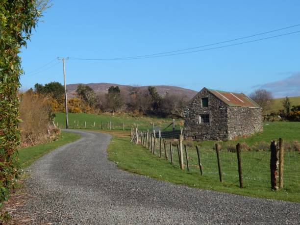 istock A country road in Ireland. 1276817889