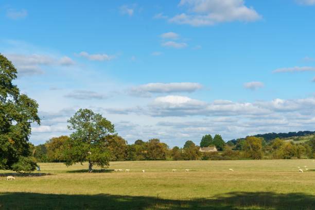 istock Typical English countryside scene 1276818014