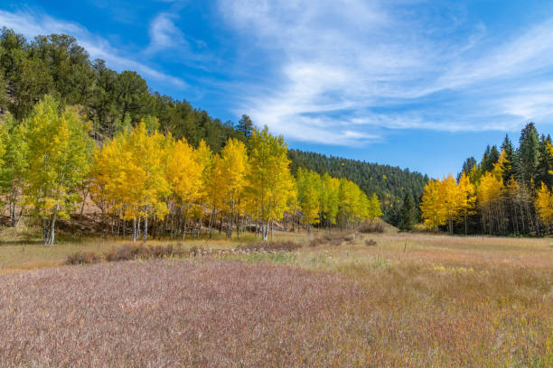 colorado jesienne kolory z górami i doliną na scenie - rocky mountains colorado autumn rural scene zdjęcia i obrazy z banku zdjęć