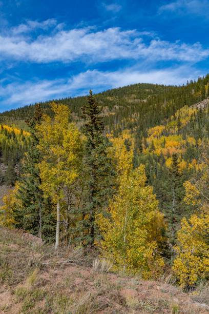 colorado jesienne kolory z górami i doliną na scenie - rocky mountains colorado autumn rural scene zdjęcia i obrazy z banku zdjęć