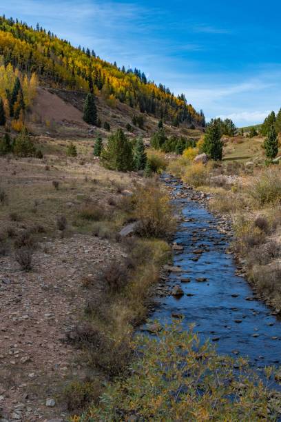 istock Peaceful mountain stream in autumn color 1276820505