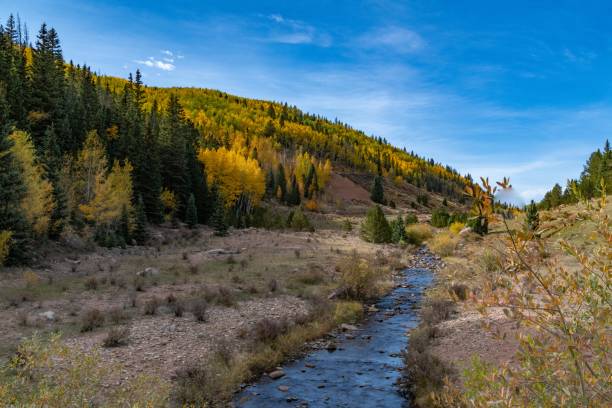 istock Peaceful mountain stream in autumn color 1276820514