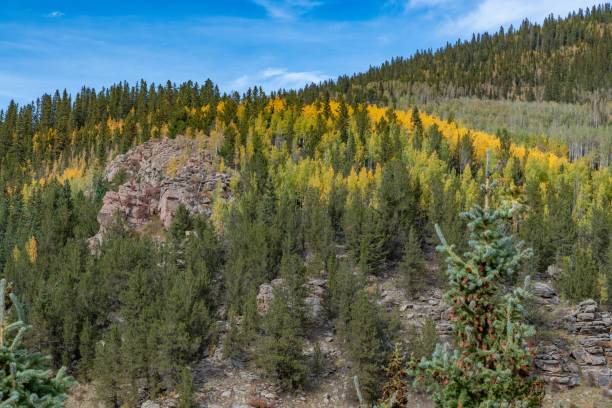 colorado jesienne kolory z górami i doliną na scenie - rocky mountains colorado autumn rural scene zdjęcia i obrazy z banku zdjęć