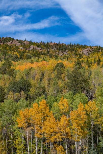 couleurs d’automne du colorado avec des montagnes et la vall�ée dans la scène - rocky mountains colorado autumn rural scene photos et images de collection