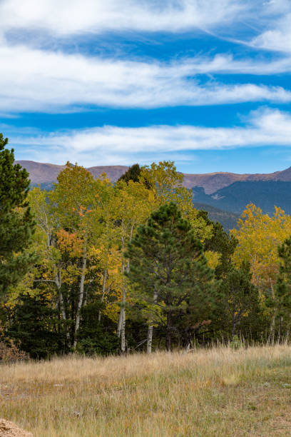 couleurs d’automne du colorado avec des montagnes et la vallée dans la scène - rocky mountains colorado autumn rural scene photos et images de collection