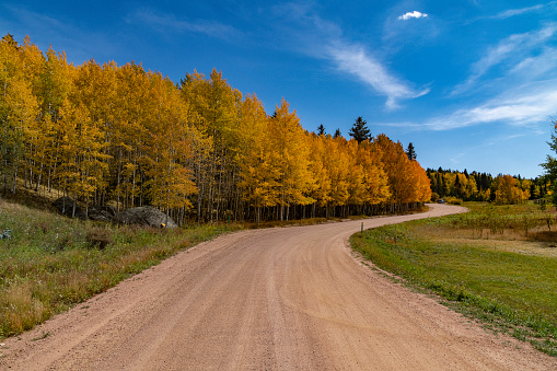 Restful dirt road along Colorado's front range