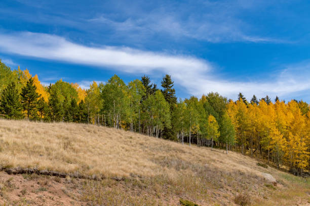 couleurs d’automne du colorado avec des montagnes et la vallée dans la scène - rocky mountains colorado autumn rural scene photos et images de collection