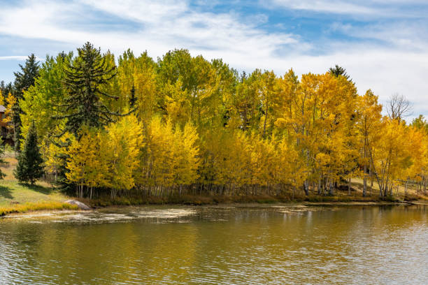 istock Colorado autumn colors with large peaceful pond 1276821666