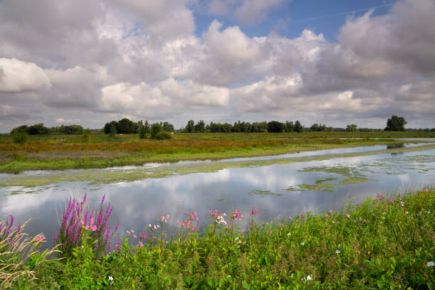 istock Hole by Den Kleinen Hil 1276821690