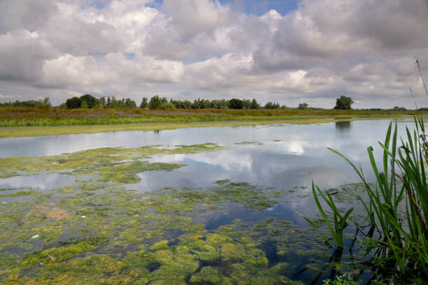 istock Hole by Den Kleinen Hil 1276821695