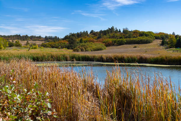 Autumn colors in middle Colorado with pond
