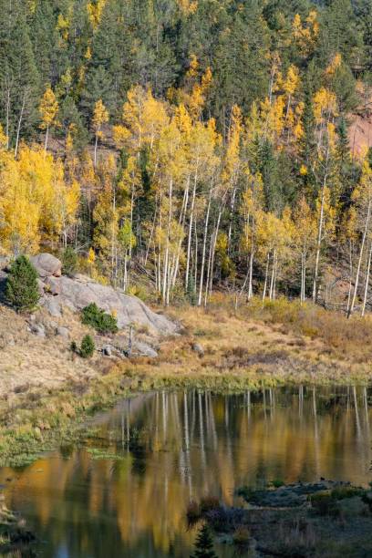 istock Colorful aspen forest and pond with reflection along the road 1276822814