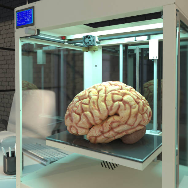 el cerebro humano está impreso en 3d. sello de órganos humanos. concepto futuro con robótica inteligente e inteligencia artificial. el uso de una impresora 3d en ciencias médicas. renderizado 3d - 3d printing fotografías e imágenes de stock