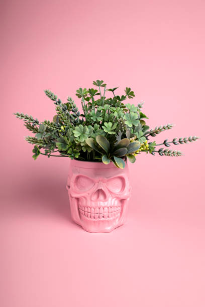 istock Pink skull with leaves on pastel background 1276824156