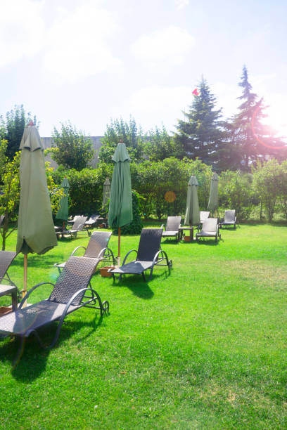 istock Sun beds with umbrellas on green grass.Summertime concept 1276826315