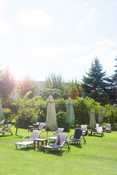 istock Sun beds with umbrellas on green grass.Summertime concept 1276827674
