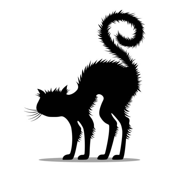illustrations, cliparts, dessins animés et icônes de silhouette d’un chat noir effrayé et sifflement. - pattern evil template continue